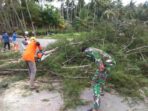 Aksi Tanggap dan Darurat Bencana Diaplikasikan BPBD Selayar Melalui Kesigapan Penanganan Pohon Tumbang