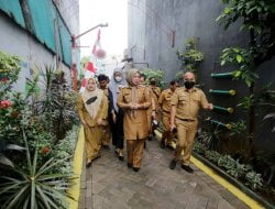Sapa Warga, Wawali Kota Makassar Sisir Longwis Onta Lama
