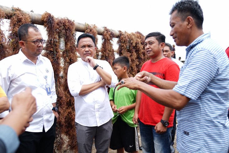BPBAP Takalar bakal menjadikan kelurahan Lamalaka sebagai daerah penghasil bibit rumput laut berkualitas di wilayah selatan Sulsel. (Foto: Istimewa)