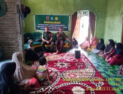 Gandeng Penyuluh Pertanian, Serma Amrullah Sosialisasi Kawasan Rumah Pangan Lestari